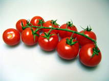 Tomaten